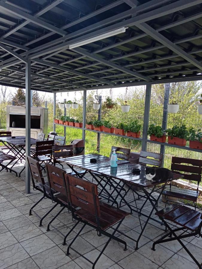 Casa Inna فينوس المظهر الخارجي الصورة